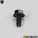 Parafuso de carenagem 6x12mm Peugeot Tweet,  Vivacity  3,  Speedfight...