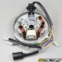 Stator ignition 6V 4 poles with sensor and platinum Peugeot 103 RCX,  SPX, SP ...