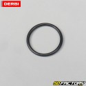 Original oil pump seal Derbi,  AM6 minarelli