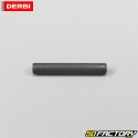 Water / oil pump pin Derbi Euro 2