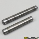 Axles of gearbox forks Suzuki RMX  et  SMX 50 (1996 - 2001)