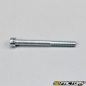 Crankcase screw 6x65mm Peugeot Kisbee,  Citystar, Ludix ...