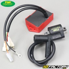 CDI box (with coil) AM6 minarelli, Derbi Top Performances (Ducati ignition)