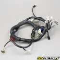 Chicote de fios elétricos Yamaha YBR 125 (2004 para 2009)