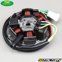 Ignition Stator  Top Performances Derbi,  Gilera,  Aprilia...