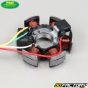 Stator Top Performances Derbi GPR  et  Aprilia  RS