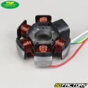 Stator Top Performances Derbi GPR  et  Aprilia  RS