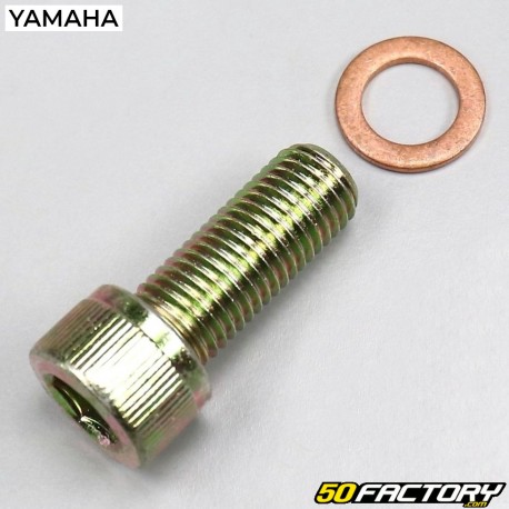 Tornillo de tubo de inmersión Mbk Booster One, Yamaha Bws Easy