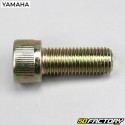 Tornillo de tubo de inmersión Mbk Booster One, Yamaha Bws Easy