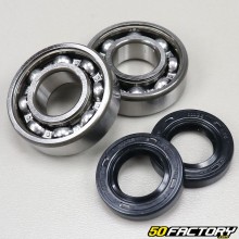 Bearings and crankshaft seals C3 Derbi