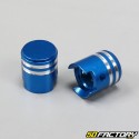 Light Blue Piston Valve Plugs (Pair)