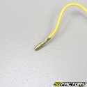 Clignotants MBK Booster, Stunt, Yamaha Bw's et Slider (jusqu'à 2004)