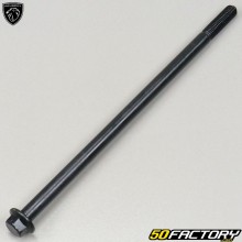 Axe support moteur Peugeot Kisbee, Vivacity 3, Speedfight 3 et 4... 50 2T