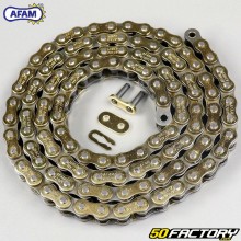 Chain 428 Afam reinforced 146 gold links