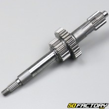 Gearbox primary shaft Adly RS 50