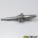 Gearbox primary shaft Adly A 50