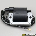 Bobina de encendido Yamaha  DTXNUMXMX, DTR XNUMX, MBK ZX  (hasta XNUMX)