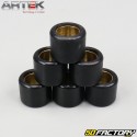 Inverter rollers 5g 19x15,5mm Piaggio Zip,  Gilera Stalker... Artek