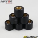 Inverter rollers 7g 19x15,5mm Piaggio Zip,  Gilera Stalker... Artek