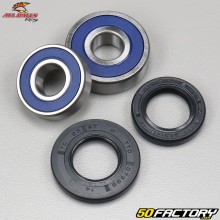 Rolamentos e selos das rodas traseiras Honda XLR,  XR 125 All Balls