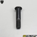 Brake lever bolts Peugeot Vivacity,  Trekker,  Squab...