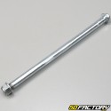 Swingarm shaft Daelim Roadsport  et  Roadwin 125 (2004 - 2011)