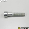 Perno de rueda trasera MBK Nitro, Yamaha Aerox