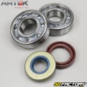 Crankshaft bearings and seals AM6 minarelli Artek C4 (for Ø20 mm silk crankshaft)