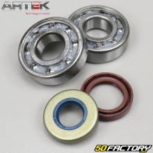 Crankshaft bearings and seals AM6 minarelli Artek C4 for crankshaft diameter 20mm