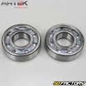 Crankshaft bearings and seals AM6 minarelli Artek C4 (for Ø20 mm silk crankshaft)