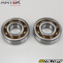 Crankshaft bearings and seals AM6 minarelli Artek C4 (for Ø20 mm silk crankshaft)