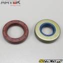 Crankshaft bearings and seals AM6 minarelli Artek C4 (for Ø20 mm silk crankshaft)