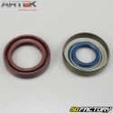 Crankshaft bearings and seals AM6 minarelli Artek C4 (for Ø20 mm silk crankshaft)