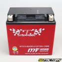 Battery YTX14-BS gel Gilera GP 800, Aprilia SRV, Italjet ...