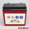 Battery YTX14-BS gel Gilera GP 800, Aprilia SRV, Italjet ...