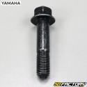 Tornillo de manillar MBK Ovetto et Yamaha  de neo