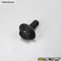 Tornillo de baúl MBK Ovetto,  Yamaha Neo (hasta 2007)