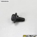 Tornillo de baúl MBK Ovetto,  Yamaha Neo (hasta 2007)