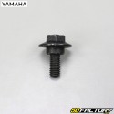 Tornillo de baúl MBK Ovetto,  Yamaha Neo (hasta 2007)