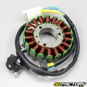 Stator d'allumage Suzuki GN 125