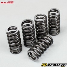 Reinforced clutch springs Derbi Malossi