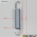 Side stand spring
 Yamaha DT50 and MBK Xlimit (1996 to 2002)