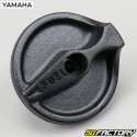 Controle de válvula de gás Yamaha TZR  e MBK Xpower (desde XNUMX)