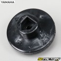 Gas valve control Yamaha TZR and MBK Xpower (since 2003)