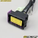 Electrical harness Sherco SE-R, SM-R (Since 2021)