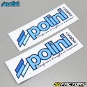 Kit/pack motor AM6  Minarelli Polini  fusión