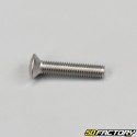 5x25mm countersunk head screw (individually)