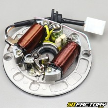 Zündstator Motor 139FMB Horizontaler 50 4T Dax,  City,  Yamasaki,  Kymco, Eurocka ... V2