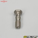 Beringer double banjo brake screw