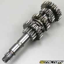 Gearbox primary shaft 154 FMI Yamaha, MH, Rieju, Orcal ... adaptable 125